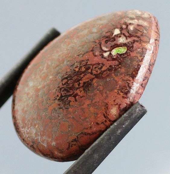 Great 16.90ct cabochon cut from dinosaur bone