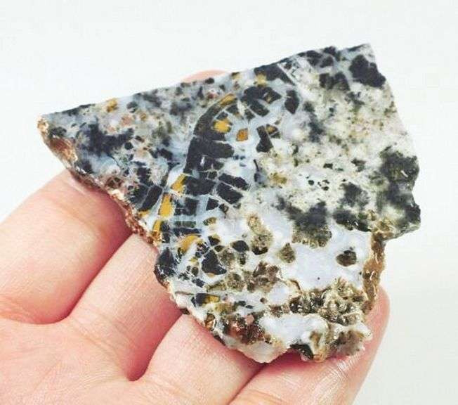 Huge! 159ct Ocean Jasper display piece