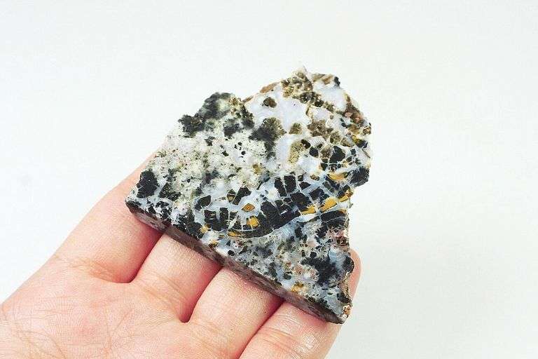 Huge! 159ct Ocean Jasper display piece