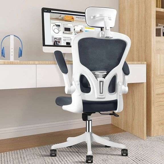 Ergonomic Office Chair Comfort and Support
