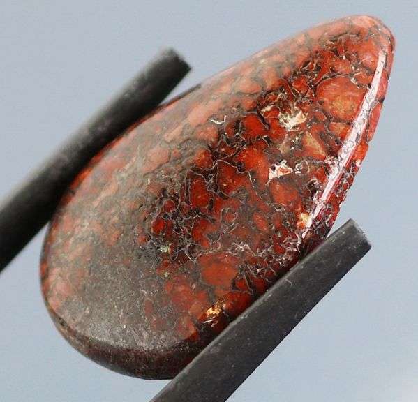 Really cool 10ct cabochon cut from dinosaur bone
