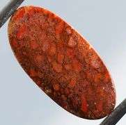 Fantastic 8.15ct cabochon cut from dinosaur bone