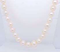 Elegant Fresh Water Pearl Necklace with Gold Clasp