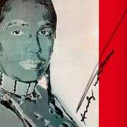 The American Indian Series (Red) by Andy Warhol