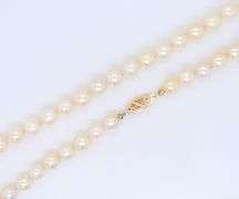6.5-7mm Akya Pearl Necklace
