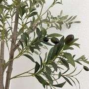 6ft Artificial Olive Tree