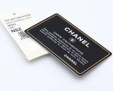 Chanel Vintage Stingray Bindi Bag