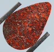 Really cool 10ct cabochon cut from dinosaur bone