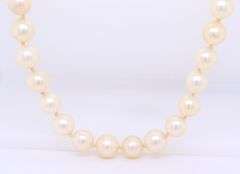 6.5-7mm Akya Pearl Necklace