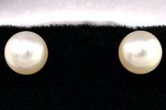 Calmly White Pearl Stud Earrings in 14K Yellow Gold