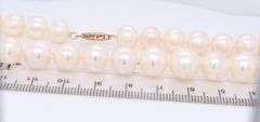 Elegant Fresh Water Pearl Necklace with Gold Clasp
