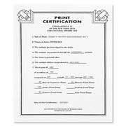 Cosmic Flyer With Sun on Blends Ver II by Peter Max