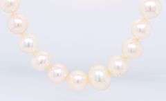 Elegant Fresh Water Pearl Necklace with Gold Clasp