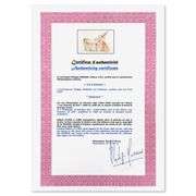 La Licorne (Unicorn) by Salvador Dali