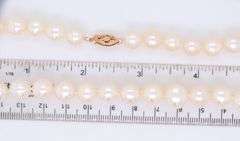 Elegant Fresh Water Pearl Necklace with Gold Clasp