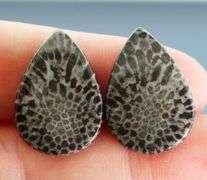 Matched! 24.75ct dinosaur bone cabochon pair