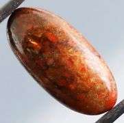 Fantastic 8.15ct cabochon cut from dinosaur bone