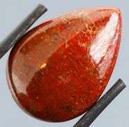 Excellent 22.80ct cabochon cut from dinosaur bone