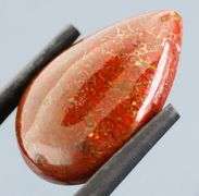 Excellent 22.80ct cabochon cut from dinosaur bone