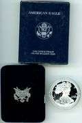 1999 Proof Silver Eagle in Original Box