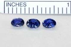Royal Blue Natural Sapphires - Lot of 3