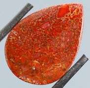 Excellent 22.80ct cabochon cut from dinosaur bone