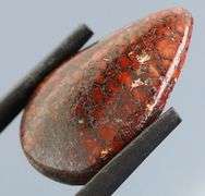 Really cool 10ct cabochon cut from dinosaur bone