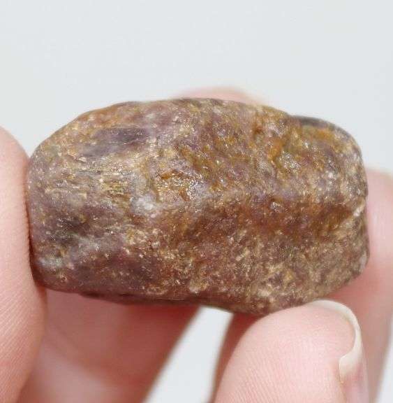 Holy COW! 87.7ct uncut golden Star Sapphire!