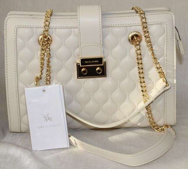 Stylish Designer Bag By David Jones-Paris