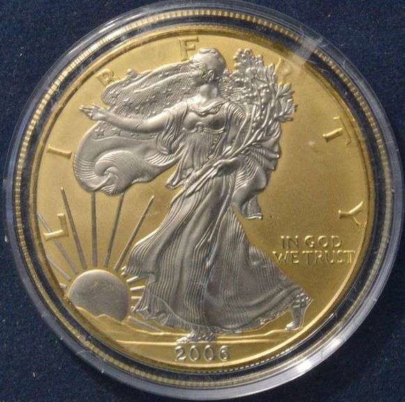 2006 Gold And Platinum Enhanced  Silver Eagle