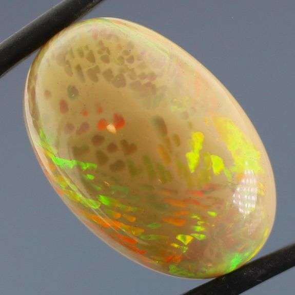 Exceptional! 14.46ct full spectrum honeycomb Opal