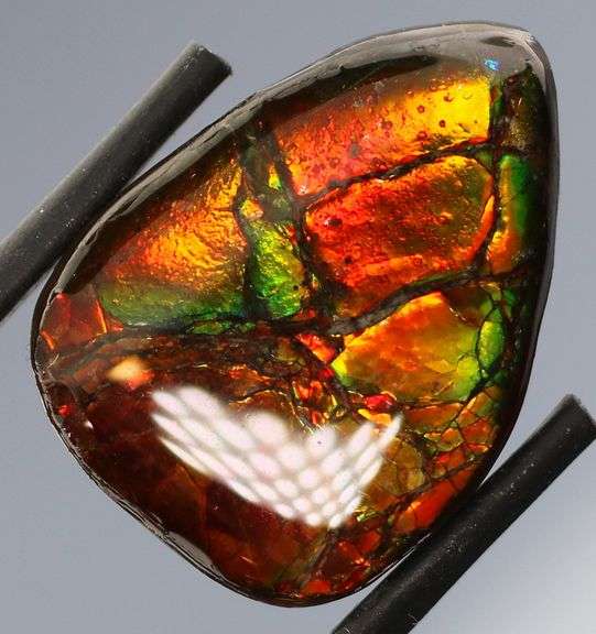 Look at this 16.42ct dragonfly wing patterned Ammolite!
