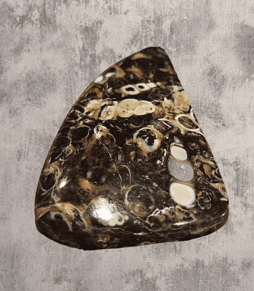 Holy cow! Real Agatized Fossil! -57.10ct