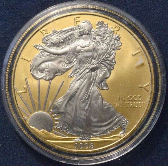 2008 Gold And Platinum Enhanced  Silver Eagle