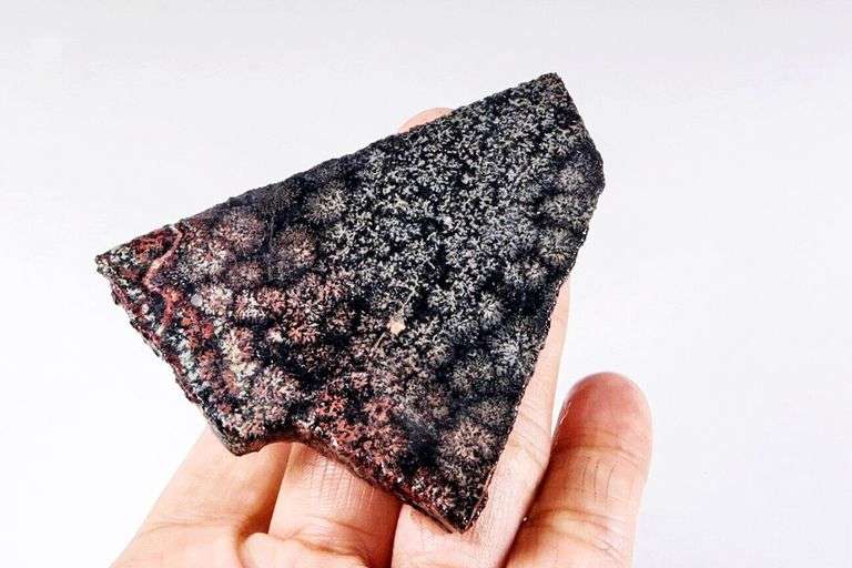Intriguing 159ct snowflake patterned Jasper slab