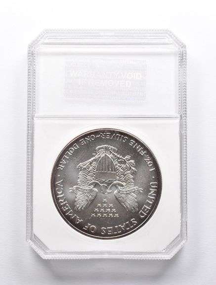 MS70 2002 American Silver Eagle PCI