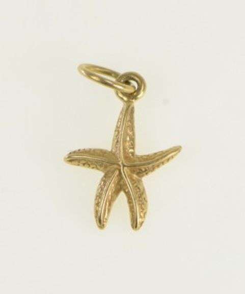 14K Yellow Gold 3D Sea Star Fish Ocean Animal Marine Charm/Pendant