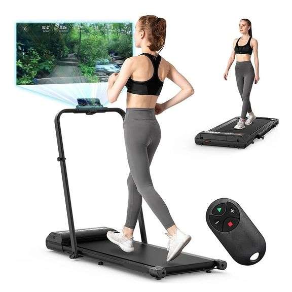 2-in-1 Folding Treadmill