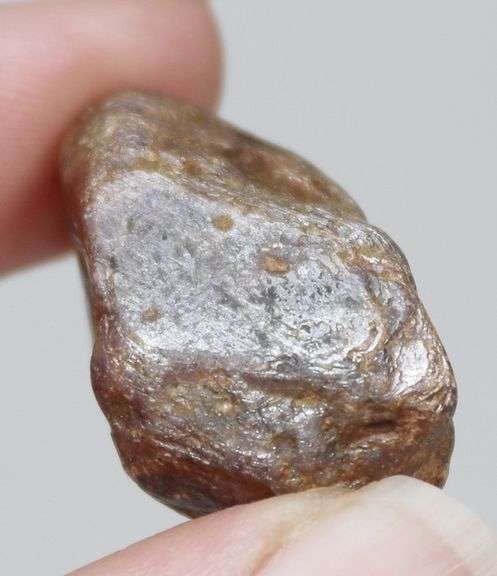 Holy COW! 87.7ct uncut golden Star Sapphire!