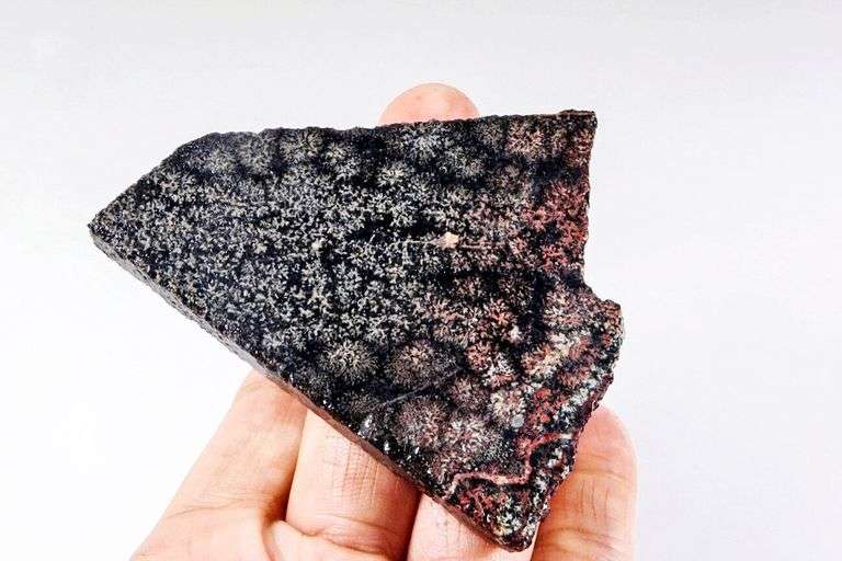 Intriguing 159ct snowflake patterned Jasper slab