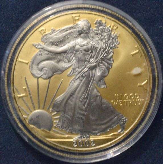 2002 Gold And Platinum Enhanced  Silver Eagle