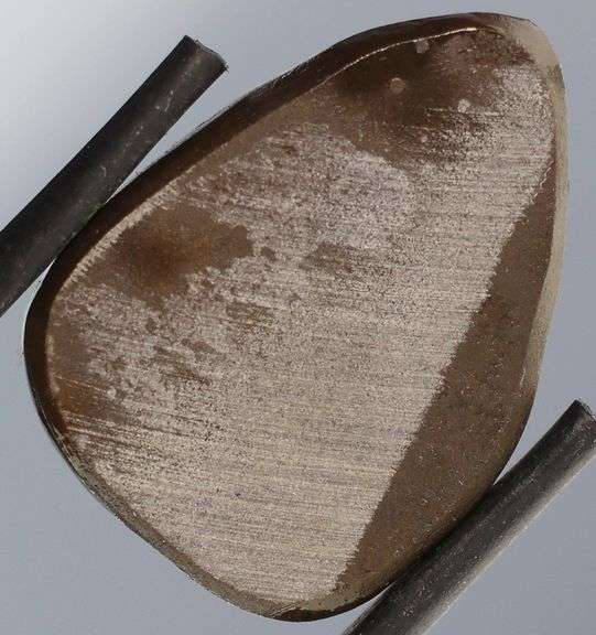 Look at this 16.42ct dragonfly wing patterned Ammolite!