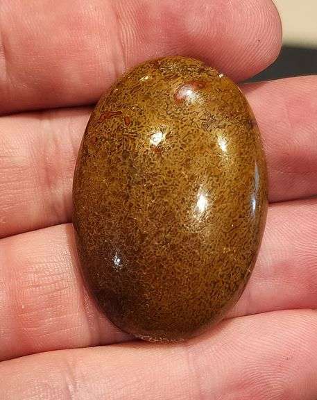 Huge 83.56ct cabochon cut from dinosaur bone