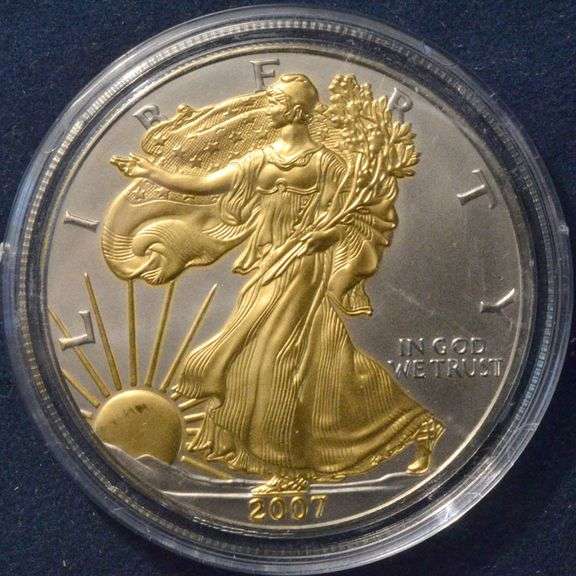 2007 Gold And Platinum Enhanced Silver Eagle