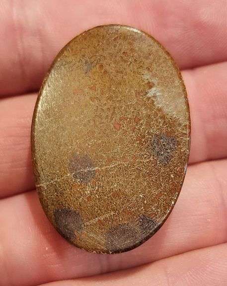 Huge 83.56ct cabochon cut from dinosaur bone