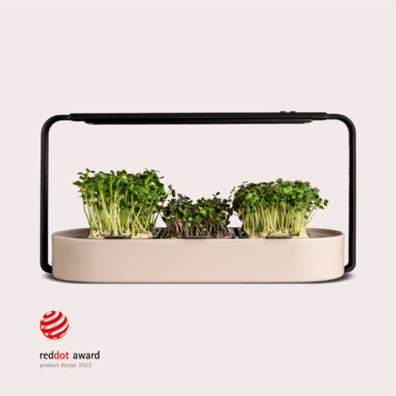 Microgreens Home Fresh Harvest