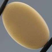 Exceptional! 14.46ct full spectrum honeycomb Opal