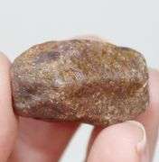 Holy COW! 87.7ct uncut golden Star Sapphire!