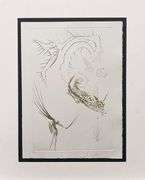 Rare Salvador Dali Hand Signed Original Dry Point Etching Circa 1969