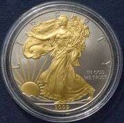 2009 Gold And Platinum Enhanced  Silver Eagle